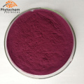 Factory supply Organic blueberry juice extract powder